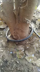 مجموعه 150 عددی لوازم آبیاری قطره ای مدل MH 20