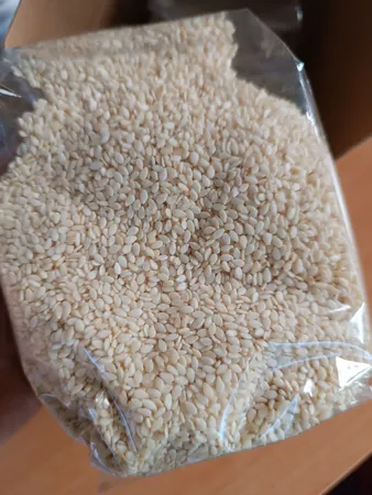 کنجد پوست کنده خام صادراتی آنید - 500 گرم