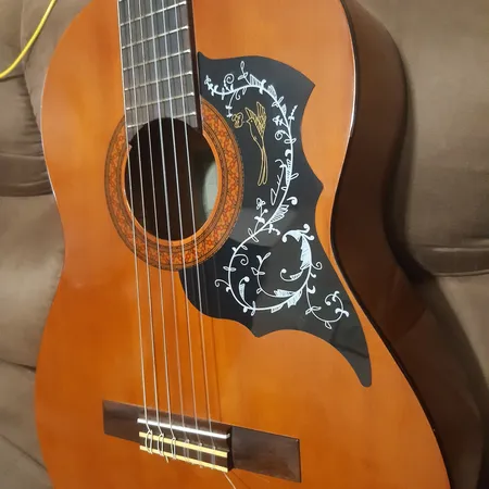 گلپیدور گیتار مدل PF30