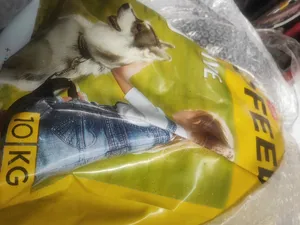 تجریه خرید غذای خشک سگ مفید مدل Supportive Food وزن 10 کیلوگرم