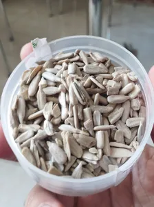 تجریه خرید مغز تخمه آفتابگردان خام ممتاز حس خوب - 850 گرم بسته 2 عددی