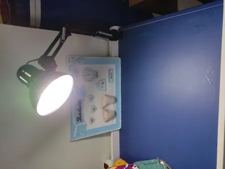 چراغ مطالعه بوستانچی مدل EN-111 همراه با لامپ  ال ای دی 7 وات E27