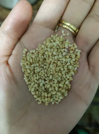 کنجد ساده شیررضا - 200 گرم