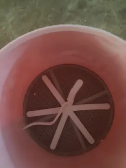 الک آرد هوم کت مدل Anna