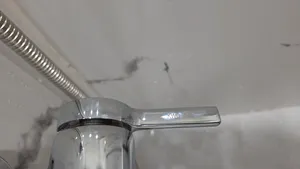 تجریه خرید شیر توالت کی دبلیو سی مدل Ava