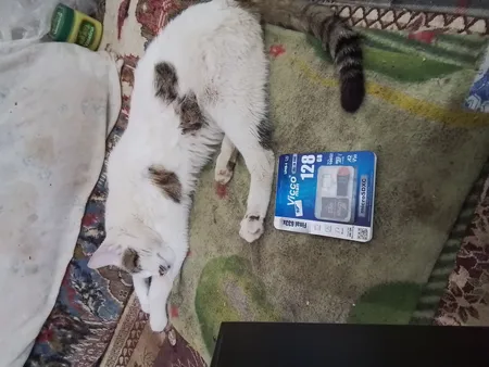 کارت حافظه micro SDXC ویکومن مدل 633X Plus کلاس 10 استاندارد UHS-I U3 سرعت 90MBS ظرفیت 128 گیگابایت به همراه کارت خوان