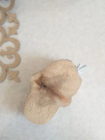 چوب نشیمنگاه پرندگان مدل BIRD FLAT -12