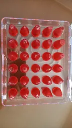 ماسوره شیرینی پزی کد 12 مجموعه 30 عددی