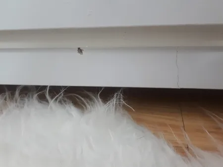 دراور مدل EK022