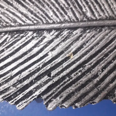 جاعودی طرح پر مدل p2