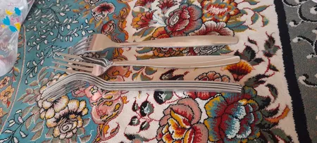 ست قاشق و چنگال 12 پارچه آذرنما مدل G-01