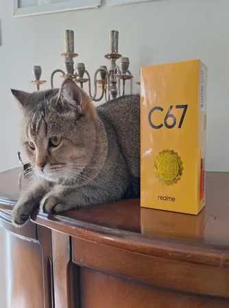 گوشی موبایل ریلمی مدل C67 4G دو سیم کارت ظرفیت 256 گیگابایت رم 8 گیگابایت