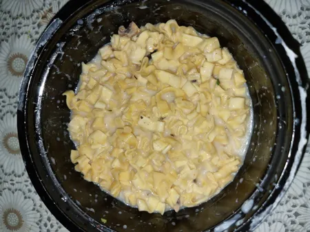 پاستا فوری فتوچینی آلفردو شف هو - 120 گرم