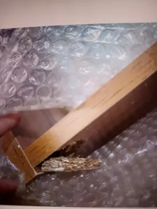 تجریه خرید کتابخانه رومیزی چوبیکو مدل bookshelf410