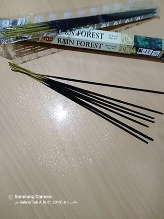 عود هم مدل جنگل بارانی