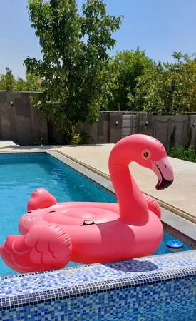 شناور بادی اینتکس طرح فلامینگو بزرگ کد 57288