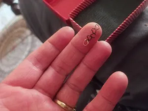 تجریه خرید آویز گردنبند طلا 18 عیار الن مدل EL71