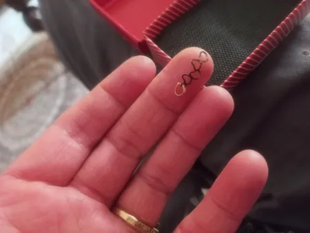 آویز گردنبند طلا 18 عیار الن مدل EL71