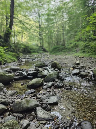 گوشی موبایل موتورولا مدل Edge 50 دو سیم کارت ظرفیت 512 گیگابایت و رم 12 گیگابایت - به همراه هدیه هدفون بلوتوثی موتورولا مدل Moto Buds