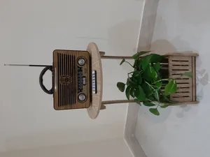 تجریه خرید رادیو مییر مدل M-115BT