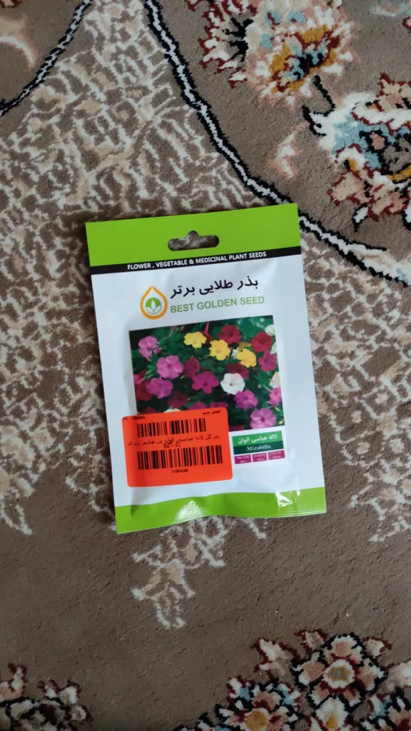 بذر گل لاله عباسی الوان بذر طلایی برتر کد BZT-31