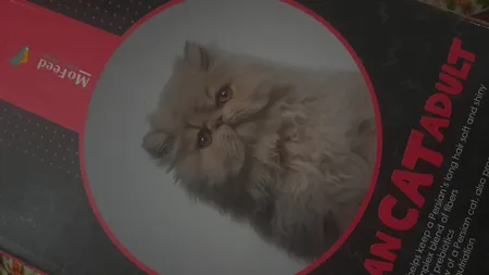 ناخن گیر سگ و گربه مدل Nail Scissors Grooming-B