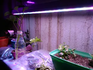 تجریه خرید وال واشر ال ای دی رشد گیاه 24 وات مدل BS-24