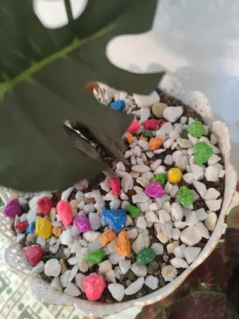 سنگ تزیینی مدل رنگی وزن ۷۵۰ گرم