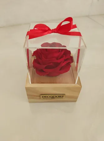 گل رز جاودان دکوفیوره مدل وودی