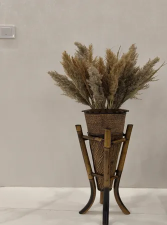 گل خشک مدل پامپاس پاک شده مجموعه 6 عددی