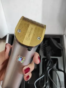 ماشین اصلاح سر و صورت دینگ لینگ مدل RF-699