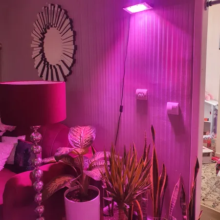 پروژکتور رشد گیاه 50 وات مدل PL