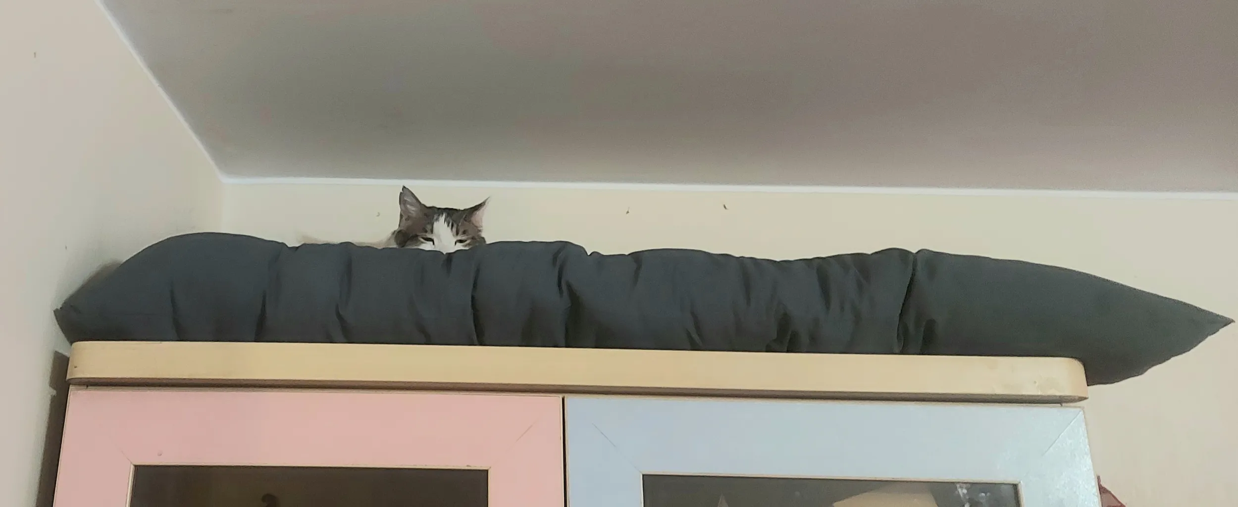 تشک کودک مدل ساناز کد 78 سایز 60×90 سانتی متر