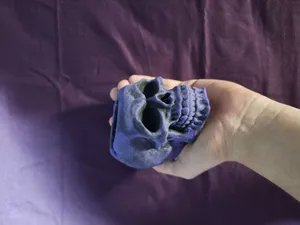 تجریه خرید زیرسیگاری مدل جمجمه اسکلت کد A32