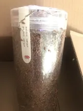 تجریه خرید تخم کتان ممتاز سرمد - 500 گرم