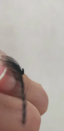 مژه مصنوعی بیوتی مگنتی کد 5469 بسته 6 عددی