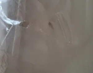 تجریه خرید تشک رویا مدل بونل 1 یکنفره سایز 200x90 سانتی متر