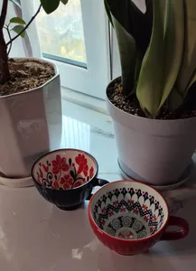 تجریه خرید ماگ دنی هوم مدل لته خوری