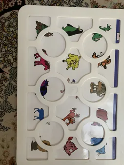 بازی آموزشی زاغک مدل هوش چین 03 کد 017