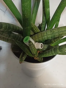 محدود کننده فاضلاب دستگاه تصفیه آب مدل 300 FLOW