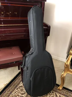 هارد کیس گیتار کلاسیک مدل black