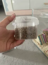 تجریه خرید غذای تشویقی همستر ولکانو میلورم کد MWH60 وزن 60 گرم