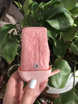 قالب بستنی مدل jhd