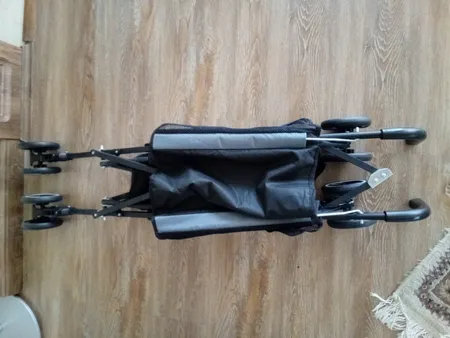 کالسکه دلیجان مدل تاینی