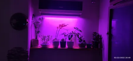 وال واشر رشد گیاه 36 وات مدل W