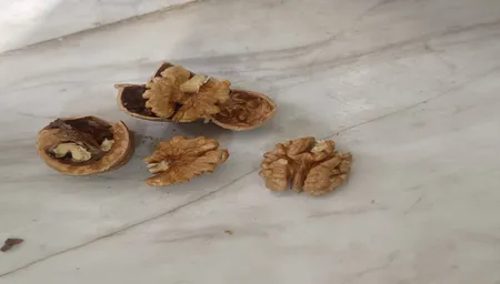 گردو با پوست کاغذی لرانه - 1000 گرم