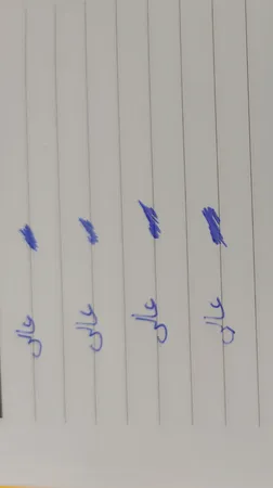 روان نویس مدل حیوانات Erasable کد M1203-00 مجموعه  4 عددی