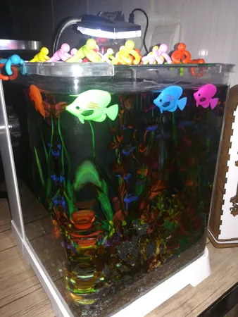 ماهی تزئینی آکواریوم مدل نگاه مجموعه ۴ عددی