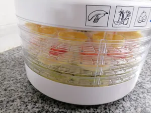 تجریه خرید میوه و سبزی خشک کن سایا مدل GP 103