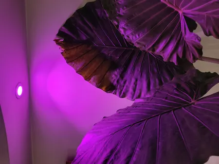 لامپ رشد گیاه 7 وات مدل سقفی توکار